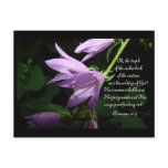 Lavender Lady Bells Post Card