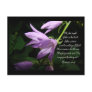 Lavender Lady Bells Post Card