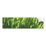 Lavender Leaves At Sunrise Bumper Sticker