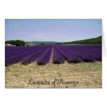 Lavender of Provence Greeting Cards