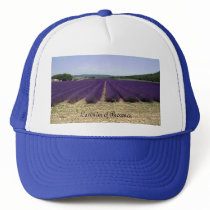 Lavender of Provence