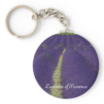 Lavender of Provence