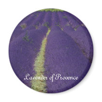 Lavender of Provence