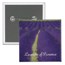 Lavender of Provence Pinback Button