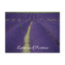 Lavender of Provence