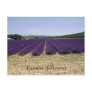 Lavender of Provence