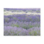 Lavender Postcard