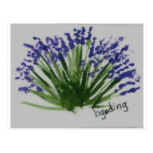 Lavender Postcard