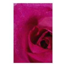 Lavender Rose Custom Stationery