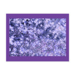 Lavender sparkly Fairy Flowers, template postcards