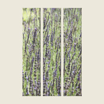 Lavender Stalks canvas prints