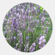 Lavender Sticker