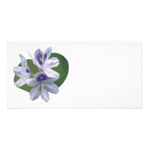 Lavender Water Lilies Customized Photo Card