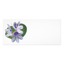 Lavender Water Lilies Rack Card Template