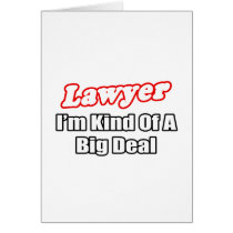 Lawyer...Big Deal