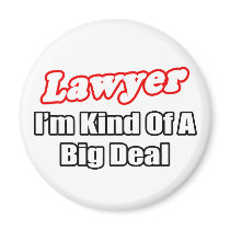 Lawyer...Big Deal