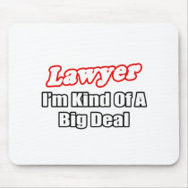 Lawyer...Big Deal
