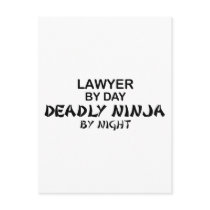 Lawyer Deadly Ninja by Night