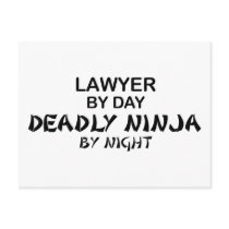 Lawyer Deadly Ninja by Night