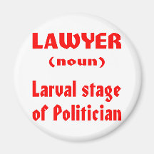Lawyer (noun) Larval Stage Of Politician Refrigerator Magnets