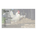 Layers (Hens And Roosters) Business Cards