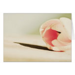 Laying tulip " card