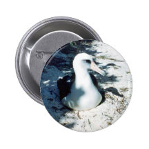 Laysan Albatross Pin