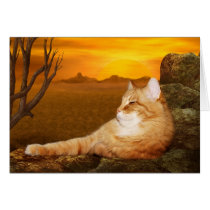 Lazing cat cards