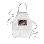 Lazy cat apron
