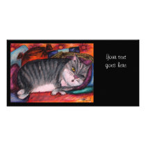 Lazy cat