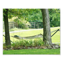 Lazy Day 10x8 Photographic Print