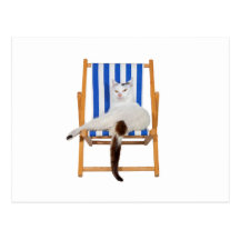 Lazy Day`s Post Card
