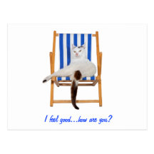 Lazy Day`s Postcards