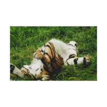Lazy Day Tiger Wrapped Canvas Print