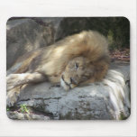 Lazy Days Mouse Mat