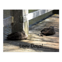 Lazy Days Postcard