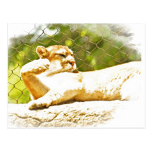 Lazy days postcards