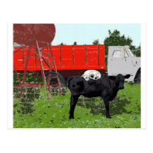 Lazy Dog Postcard