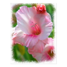 Lazy Flowers Postcards
