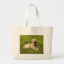 Lazy Golden Bag