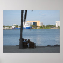 Lazy in Miami Posters