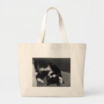 Lazy Kitten Bag