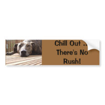 Lazy Lurcher Bumper Sticker