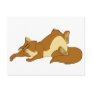 Lazy Sleeping Cat Post Cards