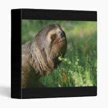 Lazy Sloth Binder