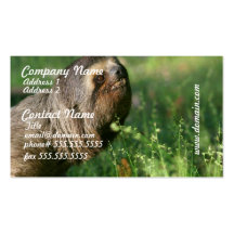 Lazy Sloth Business Cards