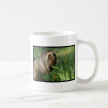 Lazy Sloth Coffee Mug