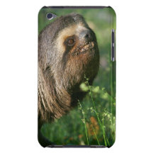 Lazy Sloth iTouch Case iPod Case-Mate Cases