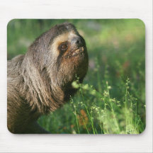 Lazy Sloth Mouse Pad