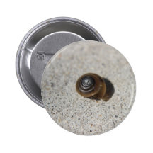 Lazy Snail Pinback Button